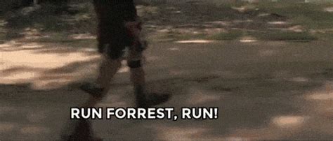 run forest gif|run forrest images.